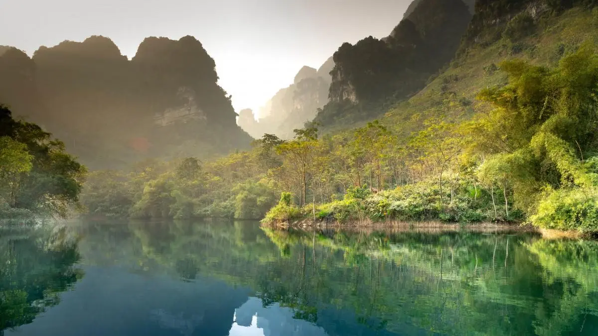 绿色高效